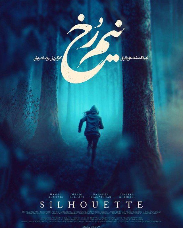 پوستر سریال نیم رخ 1405